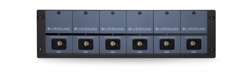 Bluesound Professional B160S