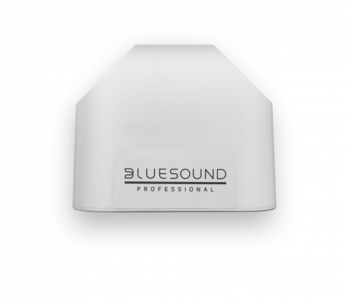Bluesound Professional BSP125 
