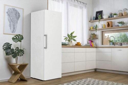 Gorenje FN619EEW5