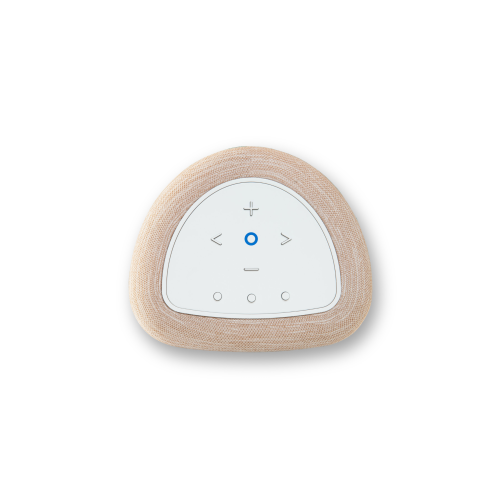 Bluesound PULSE FLEX