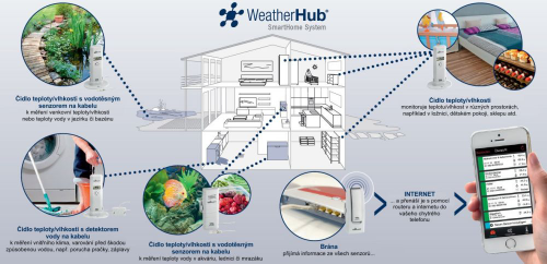 TFA 31.4001.02 WEATHERHUB