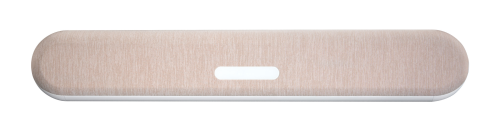 Bluesound PULSE CINEMA MINI