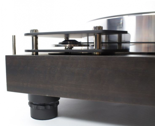 Pro-Ject X-tension 10 Evolution Eucalyptus