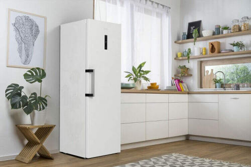 Gorenje FN619EAW6