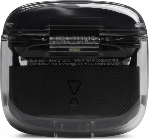 JBL Tune Flex Ghost Black