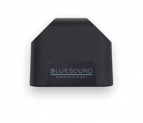 Bluesound Professional BSP125 černá