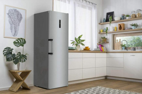 Gorenje FN619EAXL6