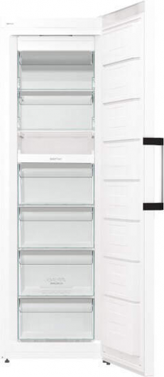 Gorenje FN619EAW6