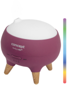 Concept DF1011
