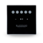 Bluesound Professional CP100