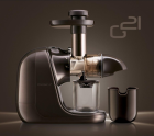 G21 Chamber horizontal